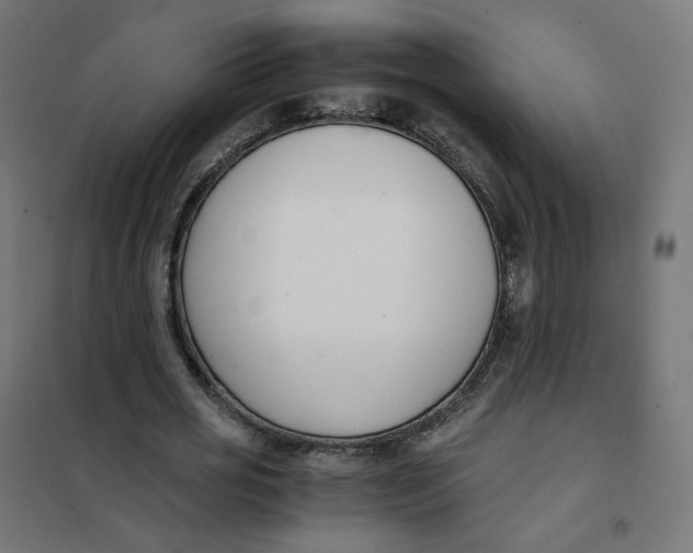 X0000102030725200808081811