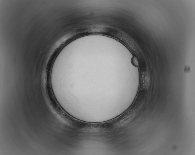 X0000102030726200808081811