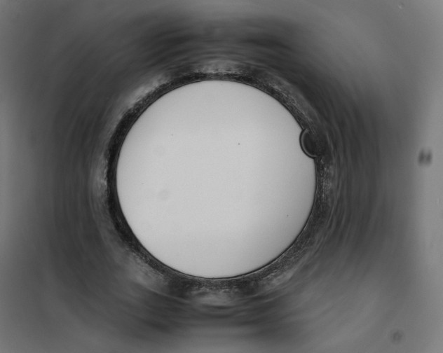 X0000102030727200808081811