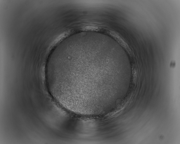 X0000102030729200808081811