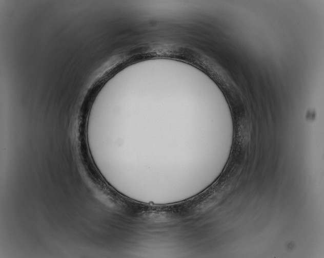 X0000102030730200808081811