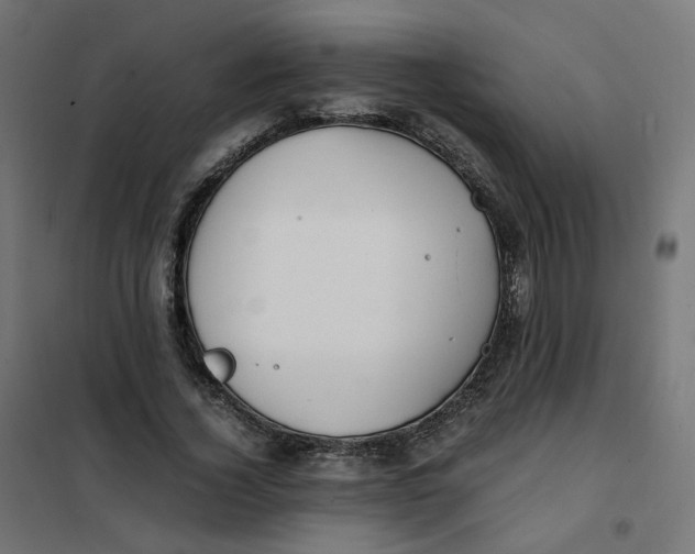 X0000102030732200808081811