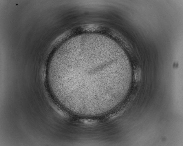 X0000102030733200808081811