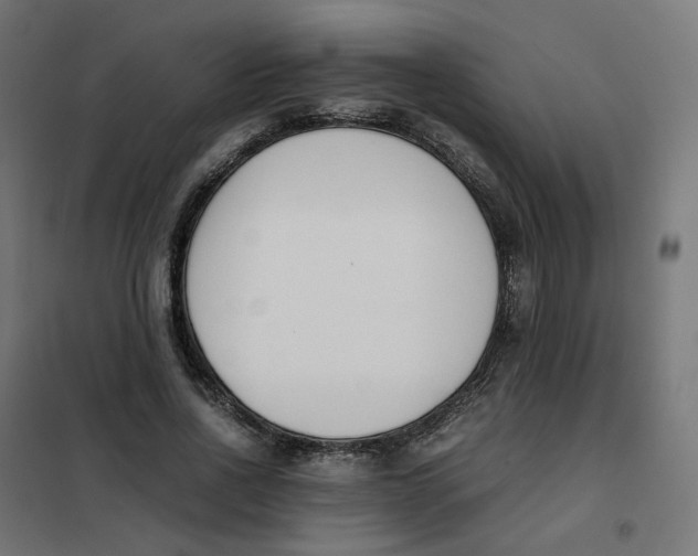 X0000102030734200808081811