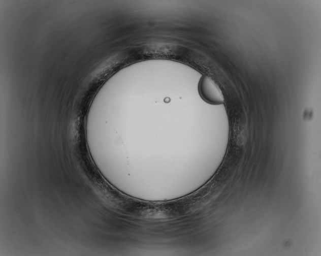 X0000102030735200808081811