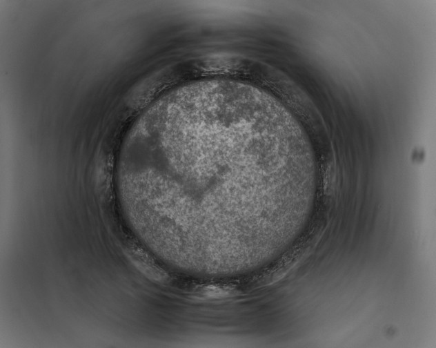 X0000102030737200808081811