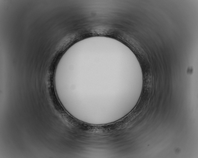 X0000102030738200808081811