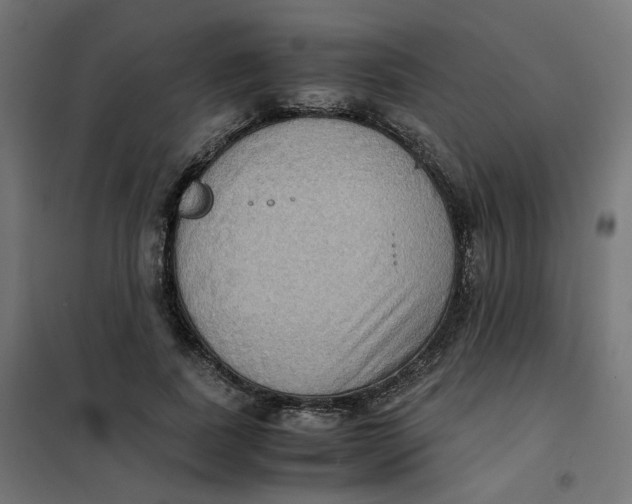 X0000102030739200808081811