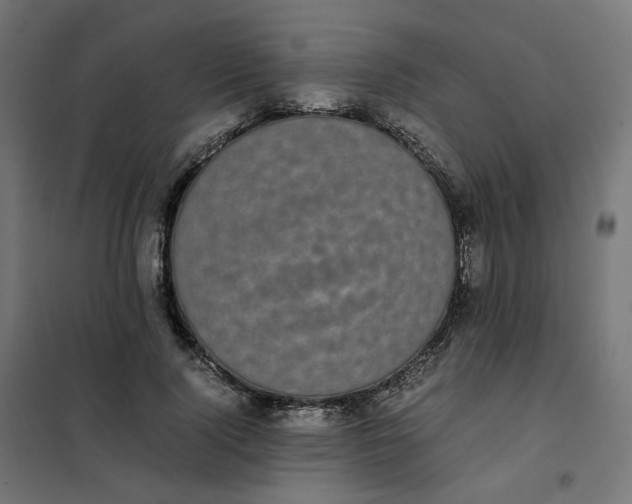 X0000102030740200808081811