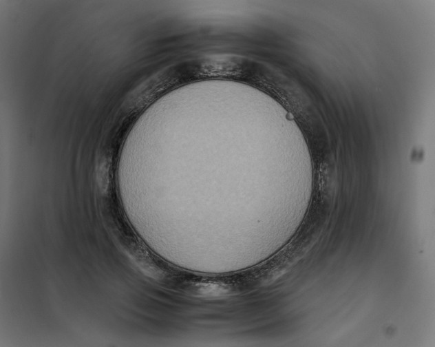 X0000102030741200808081811