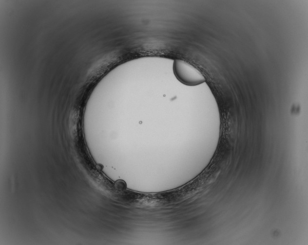 X0000102030742200808081811