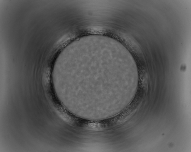 X0000102030744200808081811