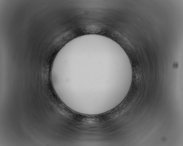 X0000102030745200808081811