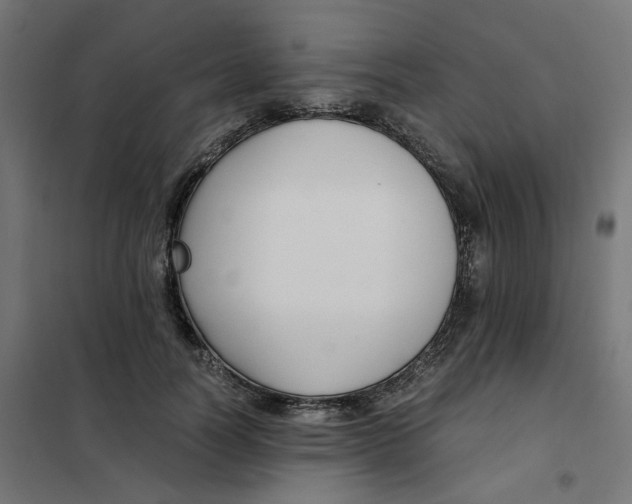 X0000102030746200808081811