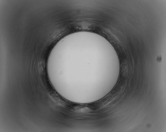 X0000102030747200808081811