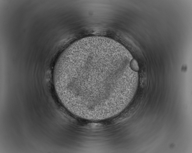 X0000102030748200808081811