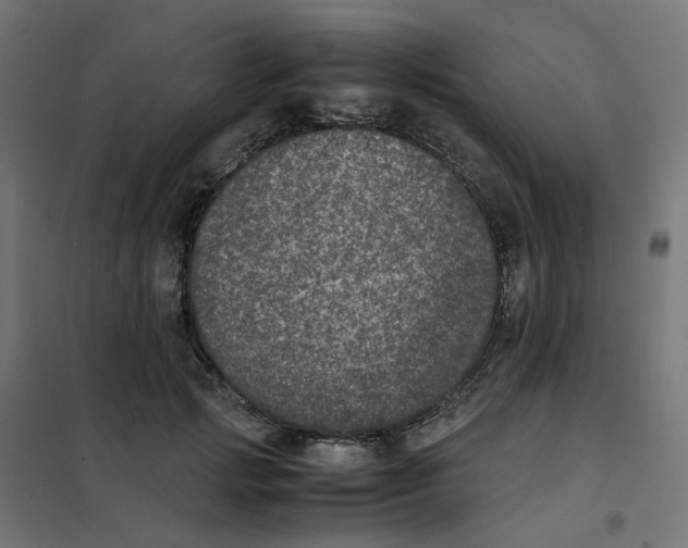 X0000102030749200808081811