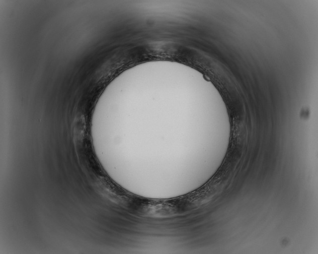 X0000102030752200808081811