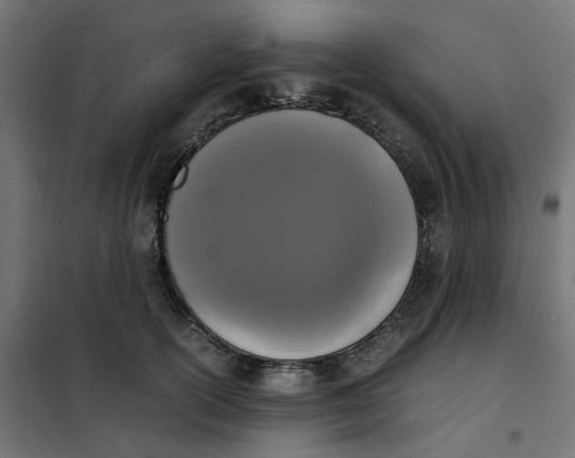 X0000102030754200808081811