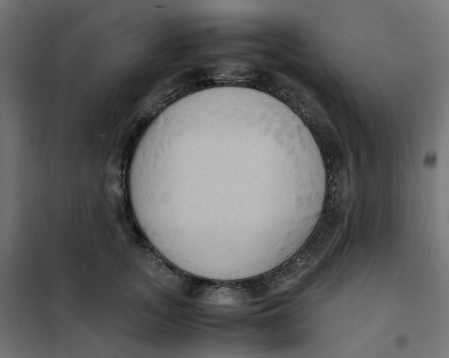 X0000102030755200808081811