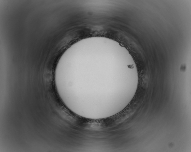 X0000102030756200808081811