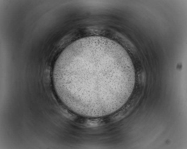 X0000102030757200808081811