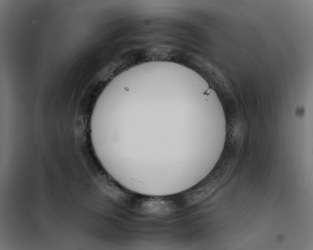 X0000102030759200808081811