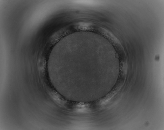 X0000102030760200808081811