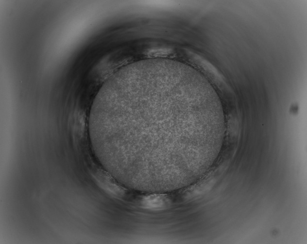 X0000102030761200808081811