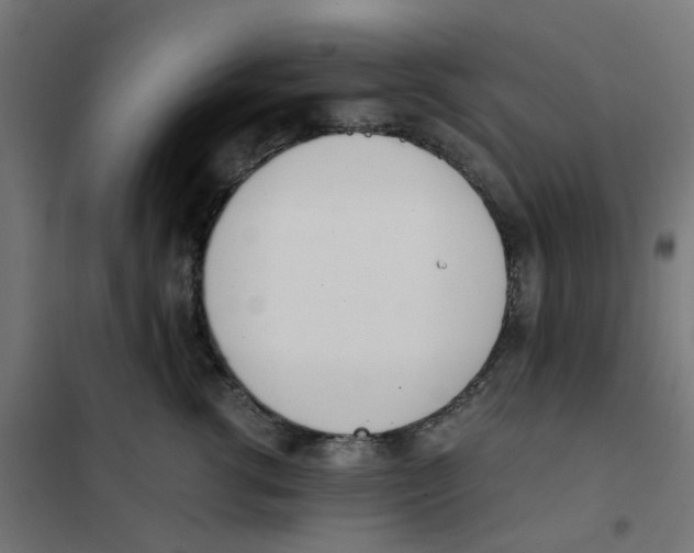 X0000102030762200808081811