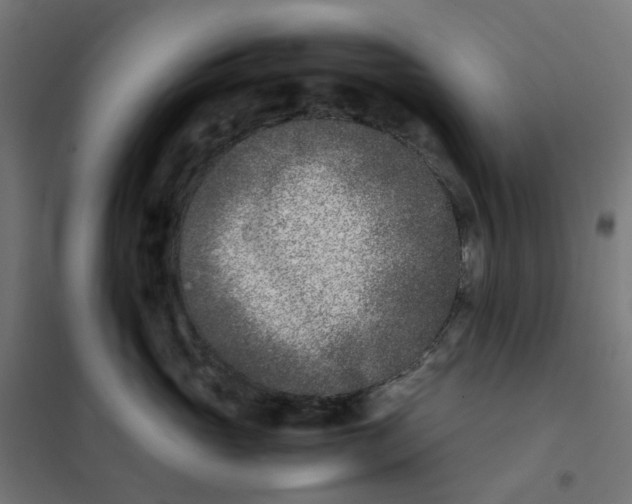 X0000102030765200808081812