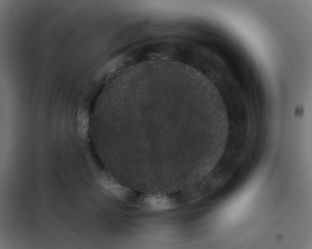 X0000102030767200808081812