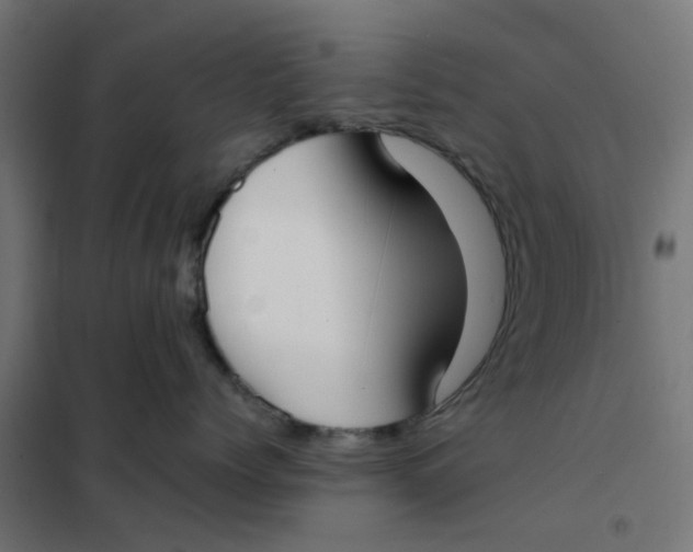 X0000102030768200808081812