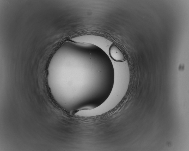 X0000102030769200808081811