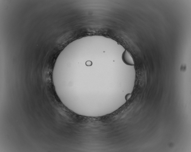 X0000102030770200808081811