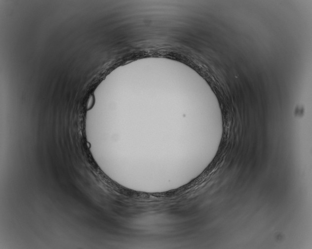 X0000102030772200808081811