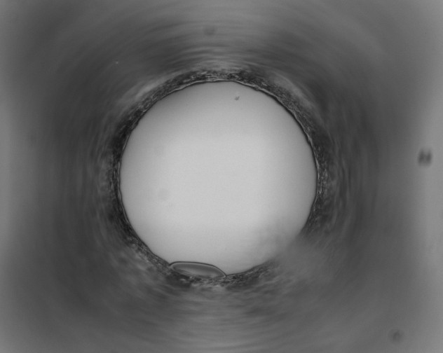 X0000102030773200808081811