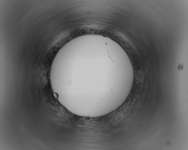 X0000102030774200808081811