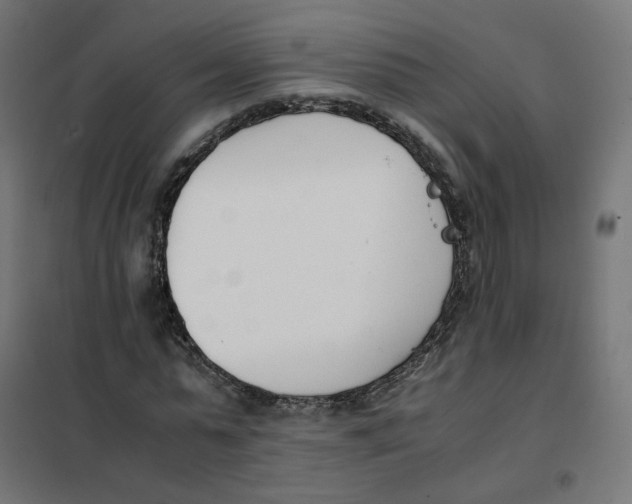 X0000102030775200808081811