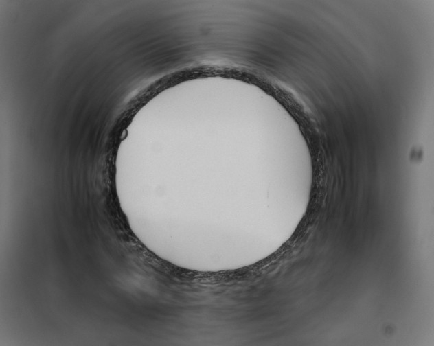 X0000102030776200808081811