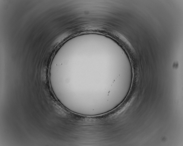 X0000102030777200808081811