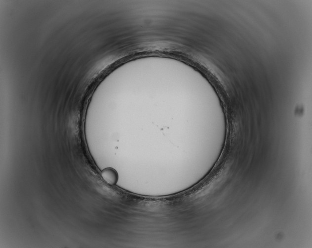 X0000102030778200808081811