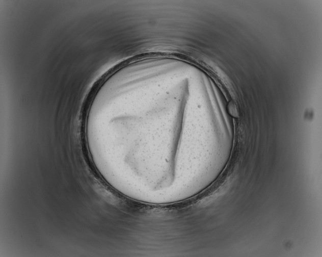 X0000102030779200808081811