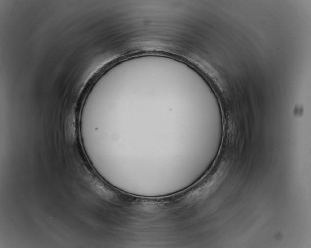 X0000102030782200808081811