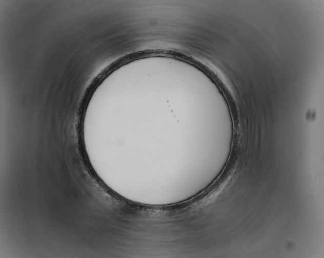 X0000102030783200808081811