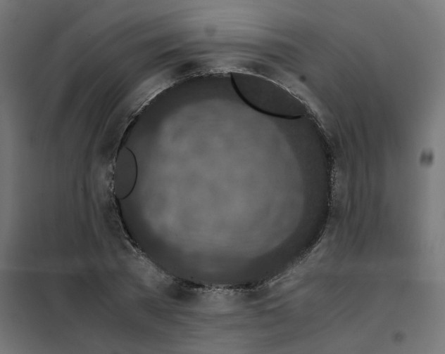 X0000102030785200808081811