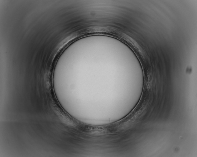 X0000102030786200808081811