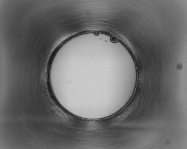 X0000102030787200808081810