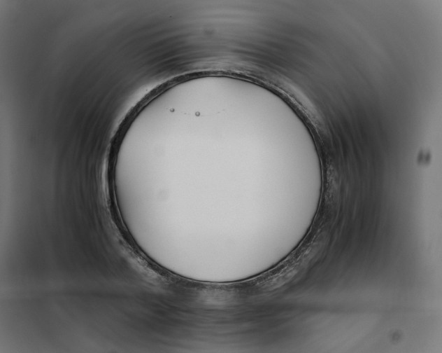 X0000102030788200808081810