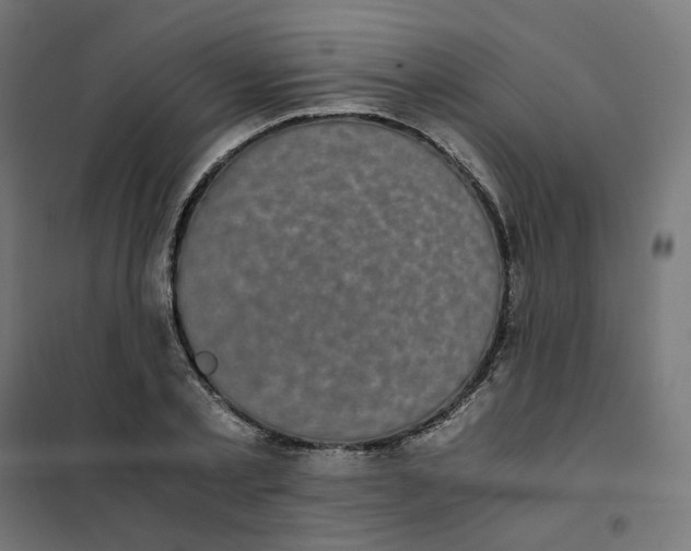 X0000102030789200808081810